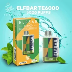 Cool Mint Elf Bar TE6000 Disposable Vape 6000 Puffs