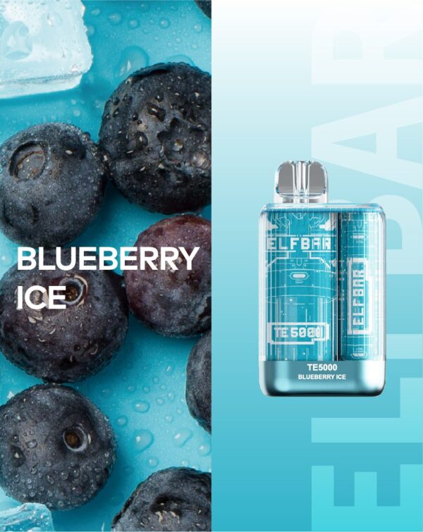 Blueberry Ice TE5000 ELF BAR
