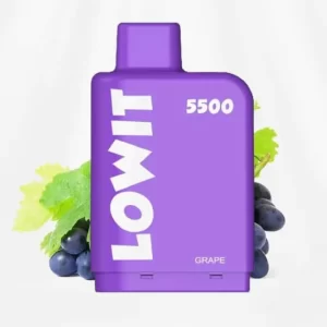 Lowit 5500 Grape ELF BAR